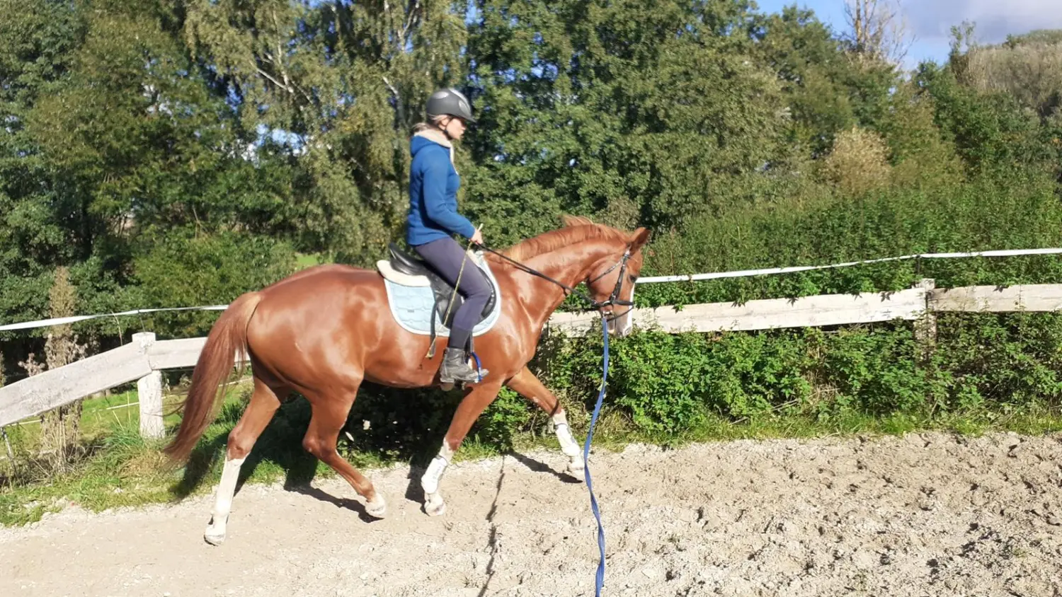 Reitsport Bachmann - Ausbildung sowie Korrektur von Pferden