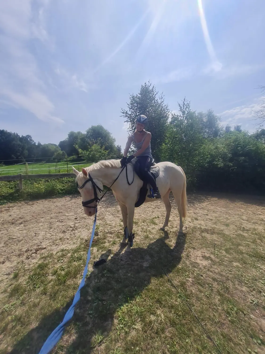 Reitsport Bachmann - Ausbildung sowie Korrektur von Pferden