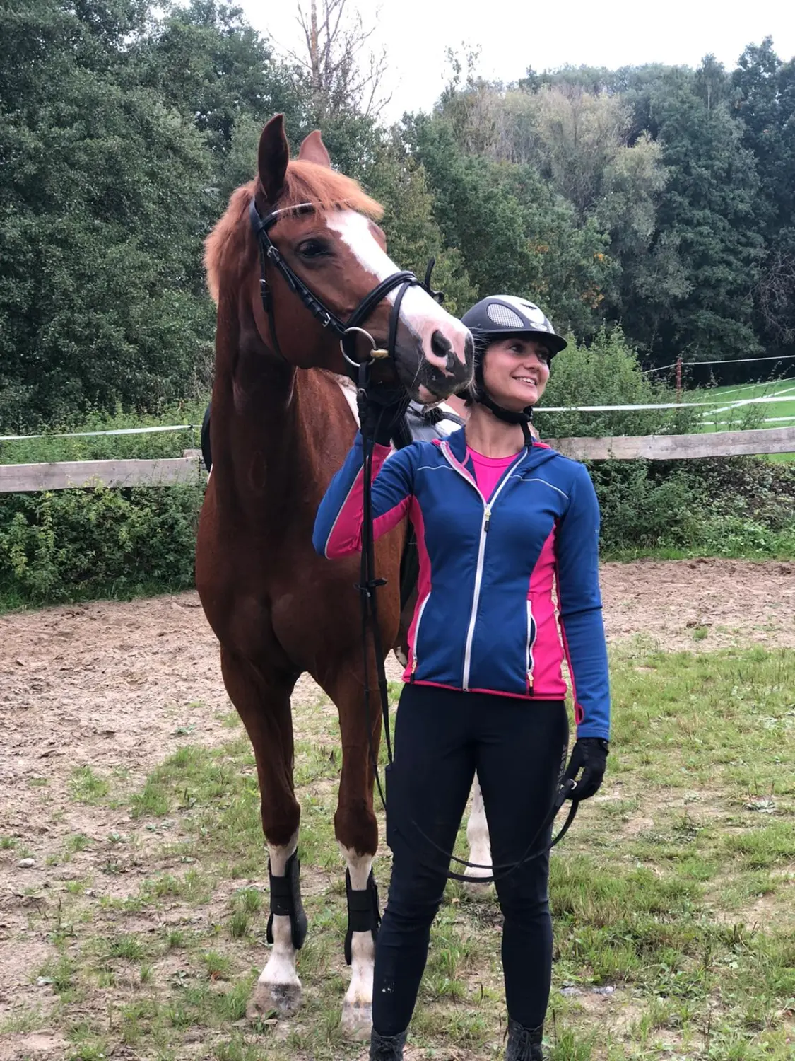 Reitsport Bachmann - Ausbildung sowie Korrektur von Pferden