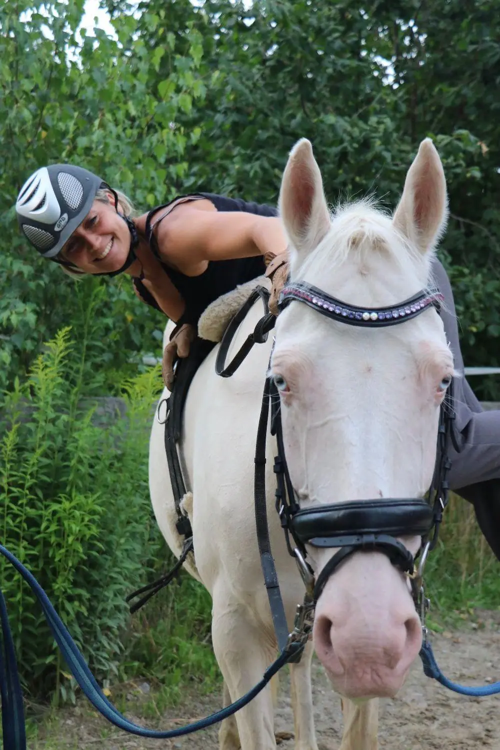 Reitsport Bachmann - Ausbildung sowie Korrektur von Pferden