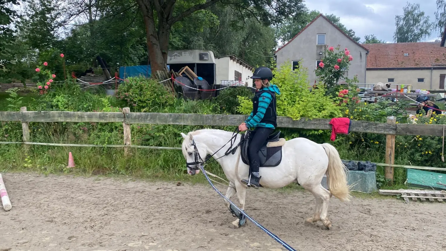 Reitsport Bachmann - Longenunterricht/ Anfängerunterricht