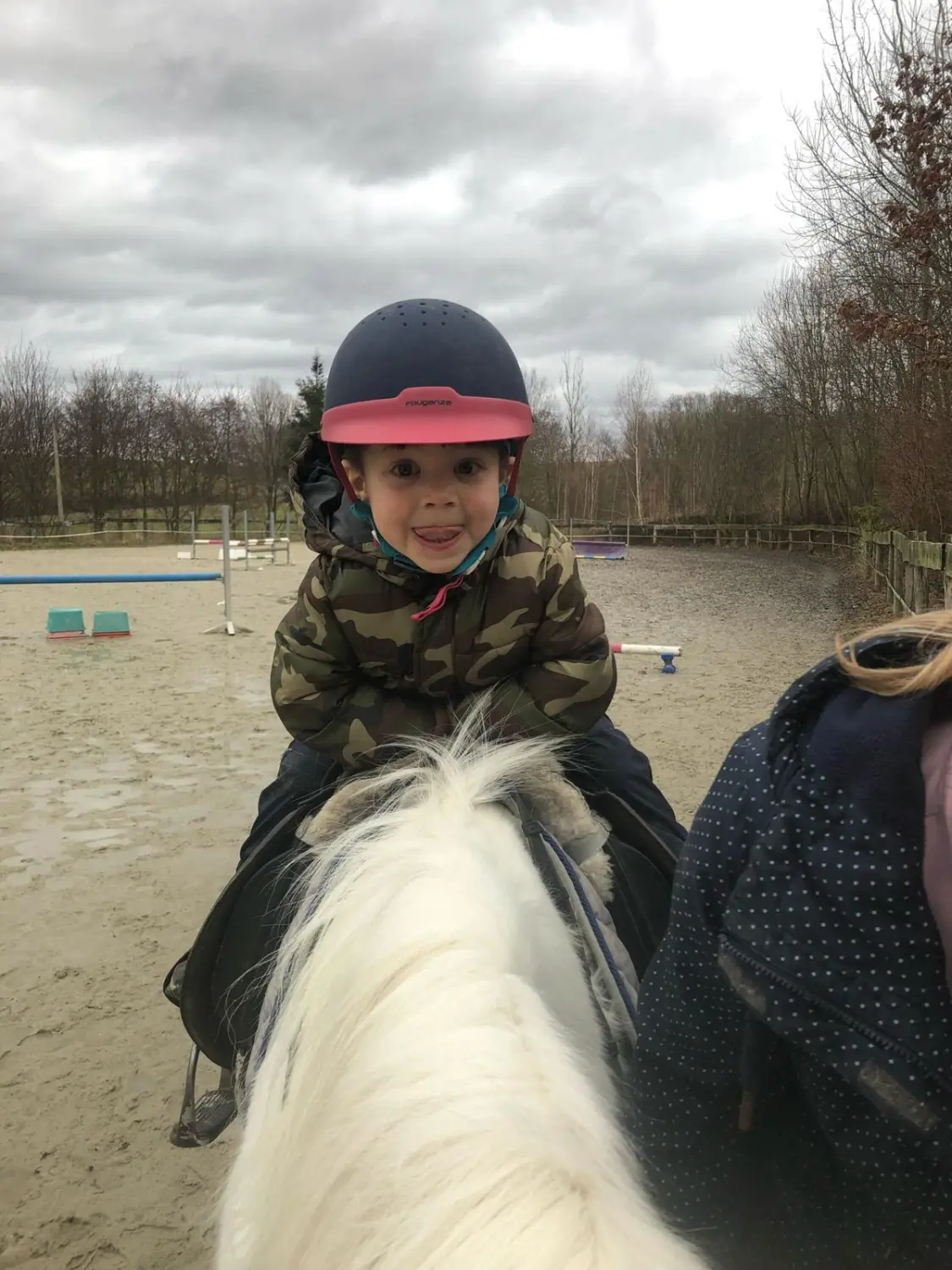 Reitsport Bachmann - Longenunterricht/ Anfängerunterricht