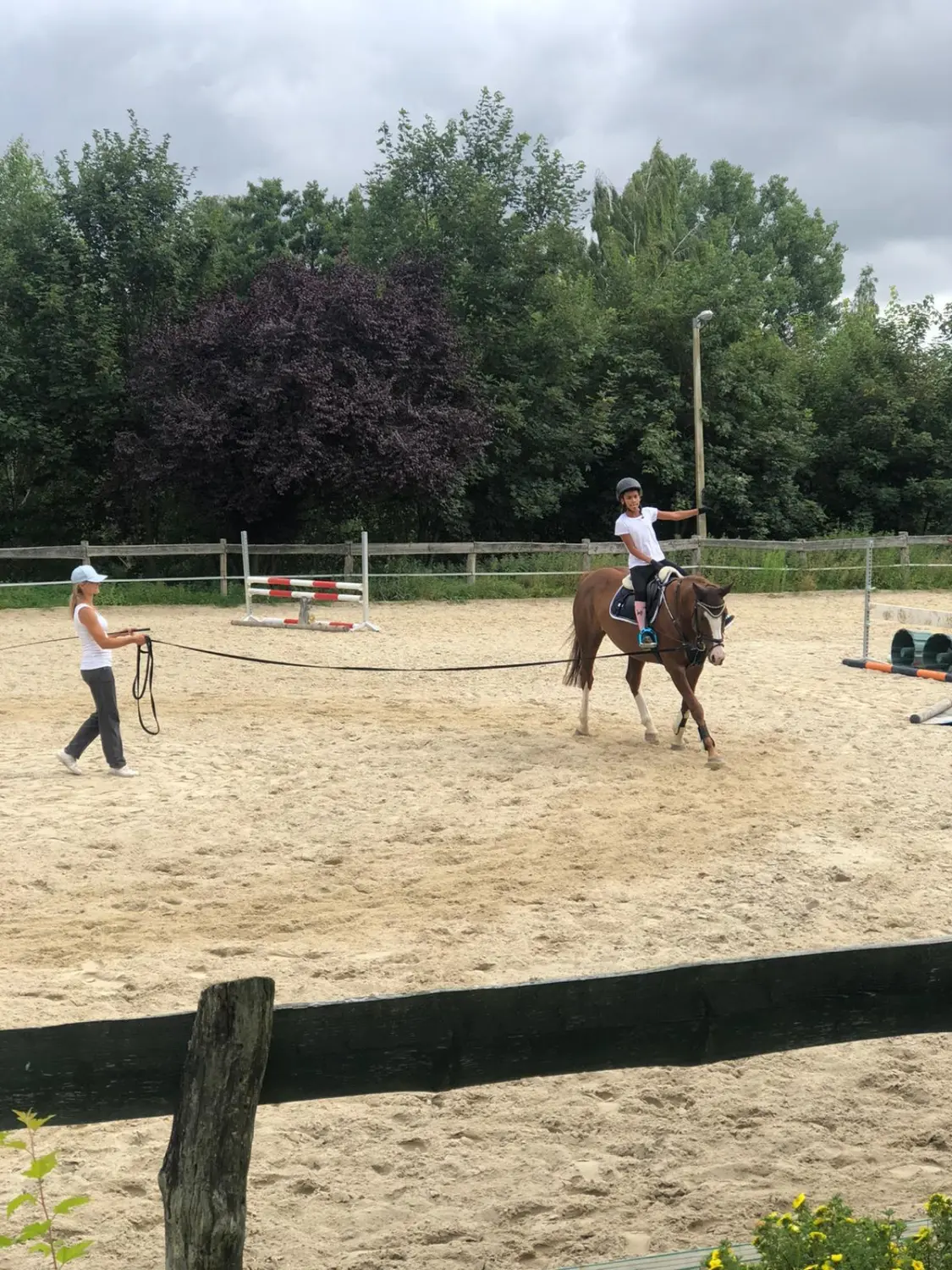 Reitsport Bachmann - Longenunterricht/ Anfängerunterricht