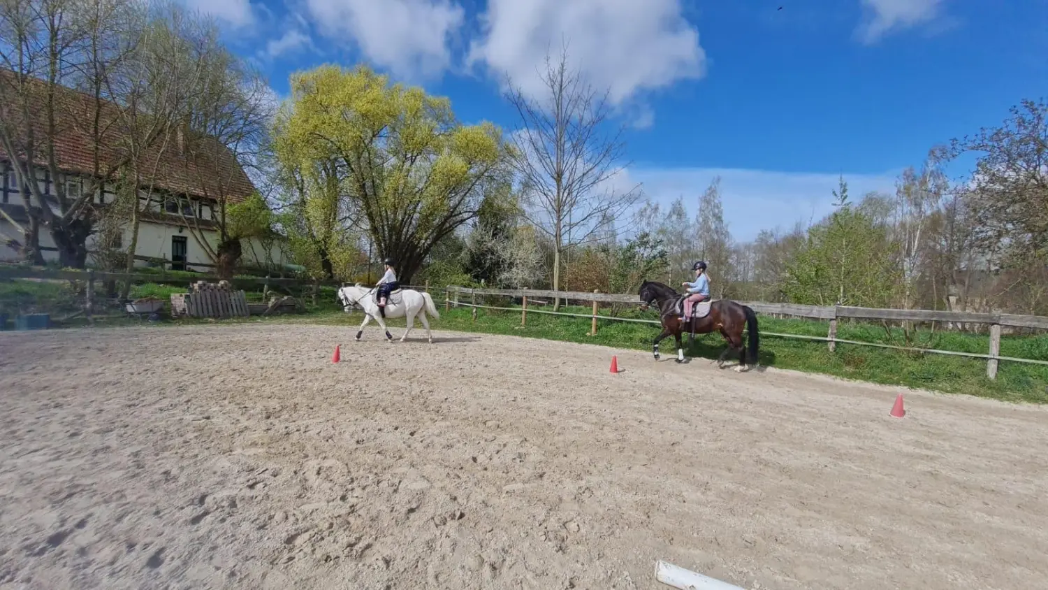 Reitsport Bachmann - Fortgeschrittenenunterricht