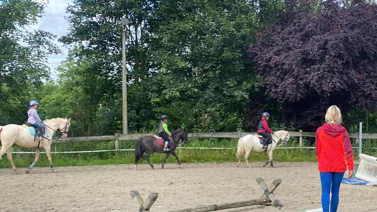Reitsport Bachmann - Fortgeschrittenenunterricht