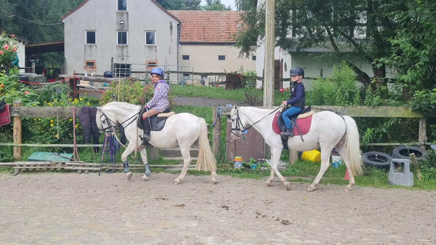 Reitsport Bachmann - Fortgeschrittenenunterricht